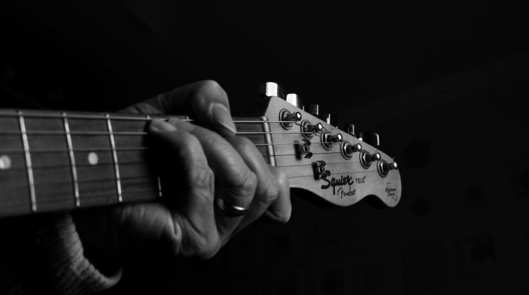 pexels-ronaldo-guiraldelli-2110705-21563692